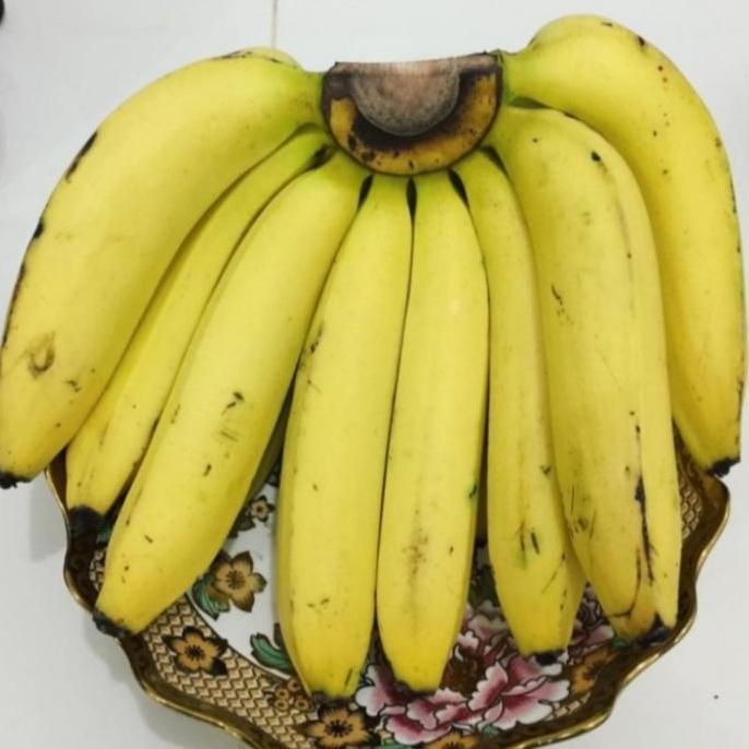 Ready Pisang Ambon Segar 1Sisir