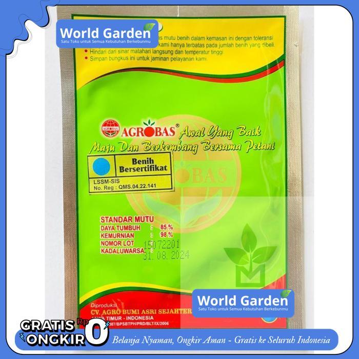 BENIH UNGGUL TERONG UNGU SOLANE 10GR PRODUK PILIHAN