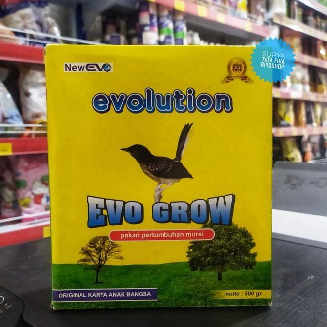 TERLARIS - Voer Evolution EVO GROW Pakan harian burung murai batu trotolan