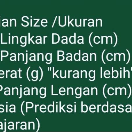 Pramuka Penggalang Saku 2 Tangan Panjang Bahan Osfot Seragam Stm Seragam Putih Baju Kerja Lapangan S