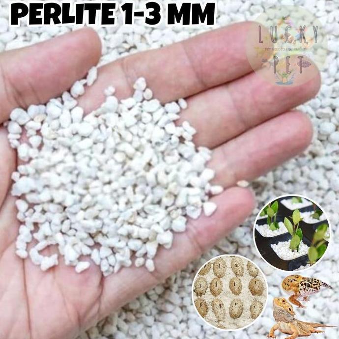 TERBARU PERLITE media tanam tanaman alas media penetasan telur reptil gecko