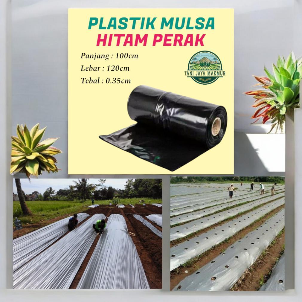 Bisa Cod (Ecer Meteran) Plastik Mulsa Hitam Perak Kemasan Plastik Packing Plastik Tanaman Layang Lay