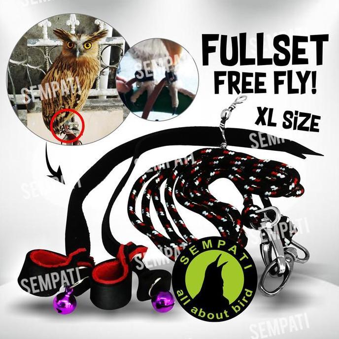 SEMPATI Anklet Celepuk Ukuran Xtra Large Xl Angklet Celepuk Tali Kaki Burung Hantu Buffy Fish Owl Ku