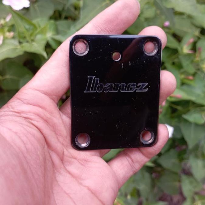 Plate Neck Gitar Ibanez Black