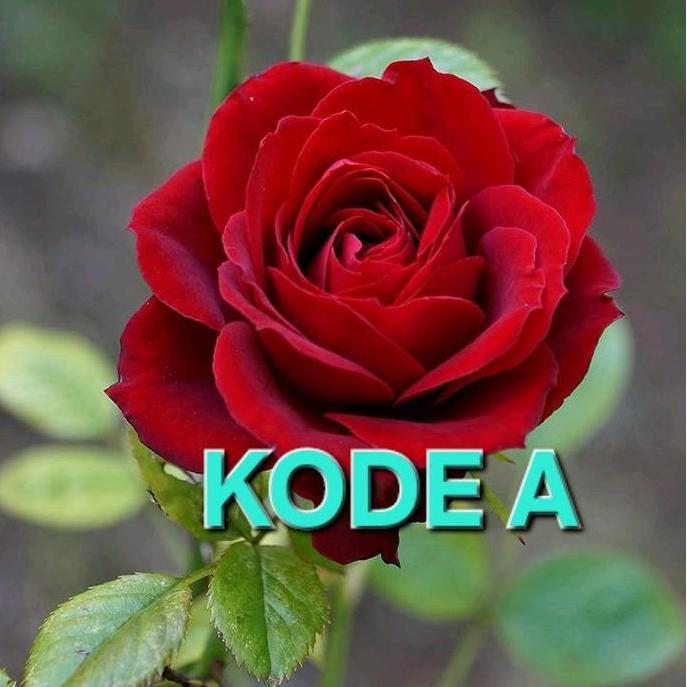 DE174 >> Gamis batik dan daster batik  koleksi terbaru dan terkece Rayon premium  Dress Midi Wanita 