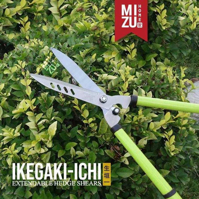 Mizu Ikegaki-Ichi Hedge Shears Gunting Rumput Gunting Pagar Taman