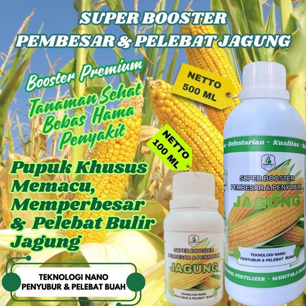 Bisa Cod Ya Kak Pupuk Jagung Pembesar Buah Jagung Panen Lebih Banyak Pupuk Npk Cair Pembesar Buah Ja