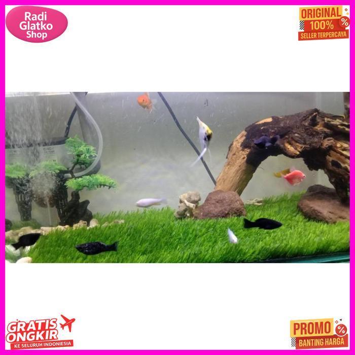 Promo Rumput Sintetis Swiss Full Hijau Aquarium Ukuran 100X20 100X25 100X30 100X40 100X50 Cm