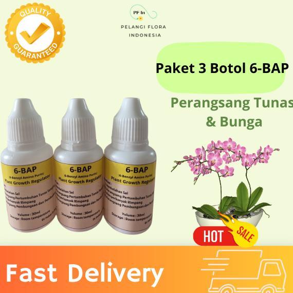 Bisa Cod Ya Kak Paket 3 Botol Bap | Hormon Pembungaan Anggrek ,,