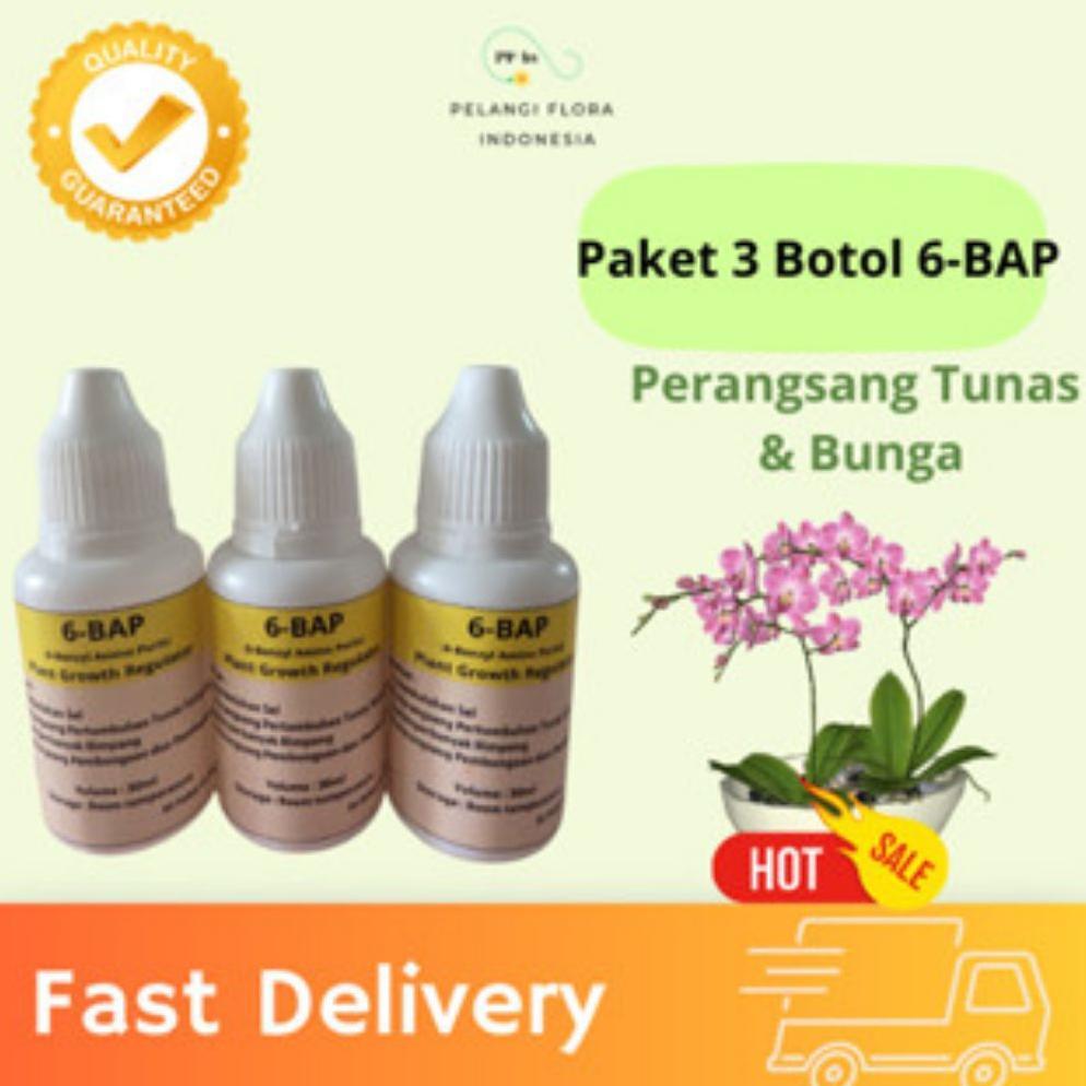 Bisa Cod Ya Kak 3 Botol. Hormon Pembungaan Anggrek 6-Bap | 6 Untuk Membungakan Dan Menumbuhkan Tunas
