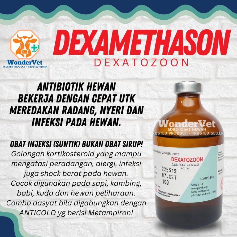 DEXAMETHASON - OBAT RADANG INFEKSI HEWAN - DEXATOZON - ANTIBIOTIK Injeksi/suntik