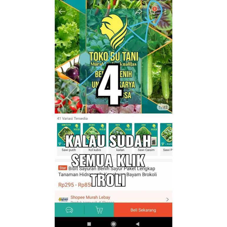 Bisa Cod Ya Kak Bibit Sayuran Benih Sayur Paket Lengkap Tanaman Hidroponik Kangkung Bayam Brokoli Ca