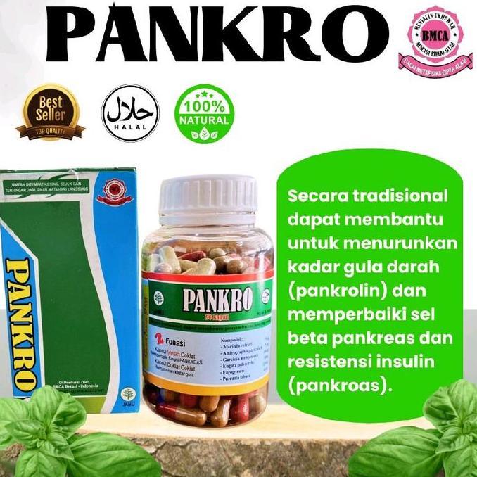 OBAT DIABETES HERBAL BPOM 100% HALAL OBAT PENURUN GULA DARAH PANKRO PANKROLIN PANKROAS BEST SELLER -