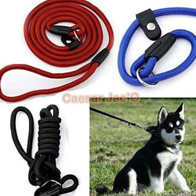Tali Tuntun Kalung Anjing Hewan / Pet Dog Leash collar Cesar Milan