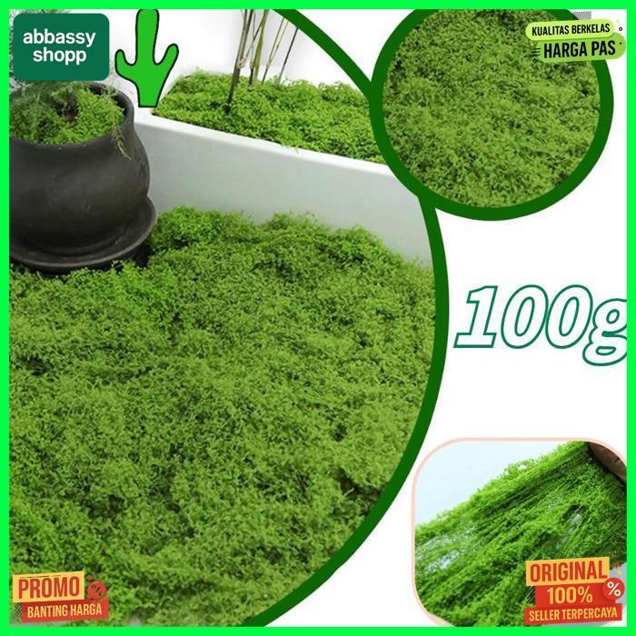 Terlaris 100G Rumput Sintetis Aquascape Aquarium | Tawetan Tahan Lama Rumput Sintetis Aquascape Jadi