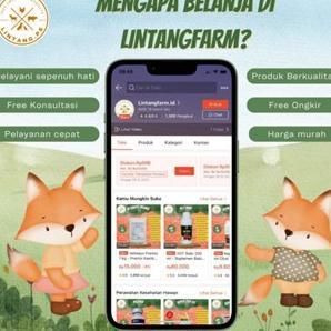 Vitamin B12 Inj Meyer 100 Ml B-12 Injeksi Meningkatkan Daya Tahan Tubuh Hewan B12 Untuk Hewan