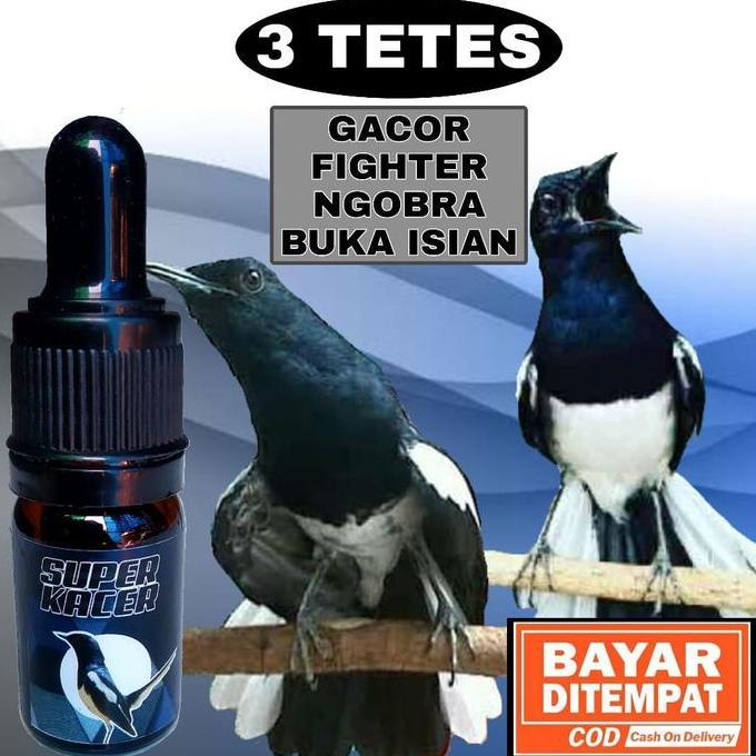 Super Kacer Vitamin Penggacor Khusus Burung Kacer