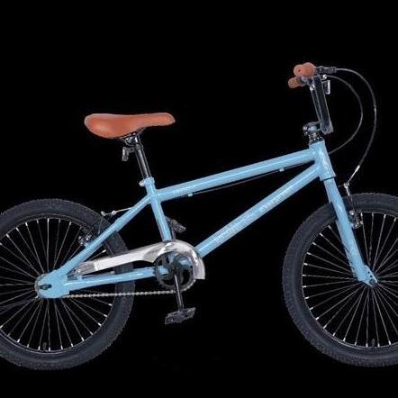 Sepeda Anak Bmx 20 Evergreen