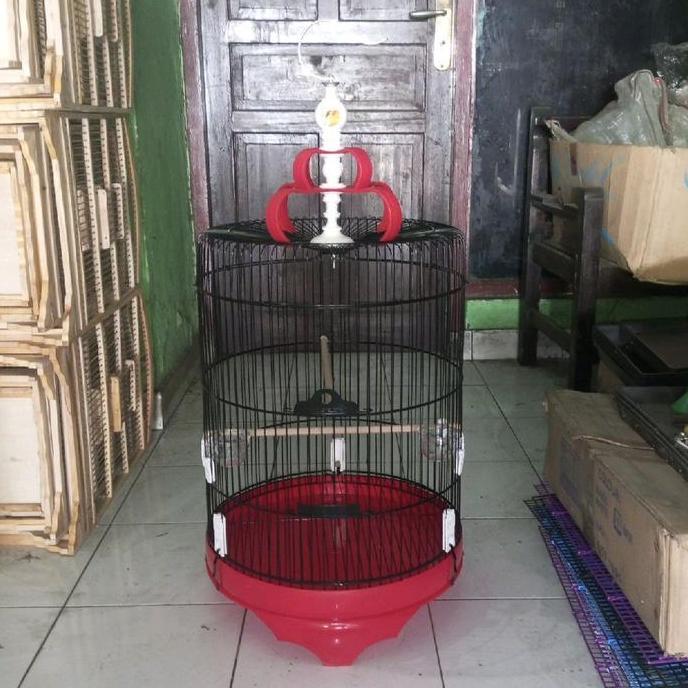 Kandang Burung Besi Jalak Ukuran Jumbo - Sangkar Burung