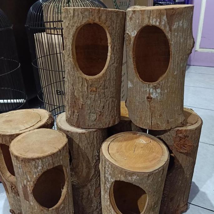 Glodok Pohon Burung 2Pcs - Glodok Murai Kacer Parrot Promo Beli 2