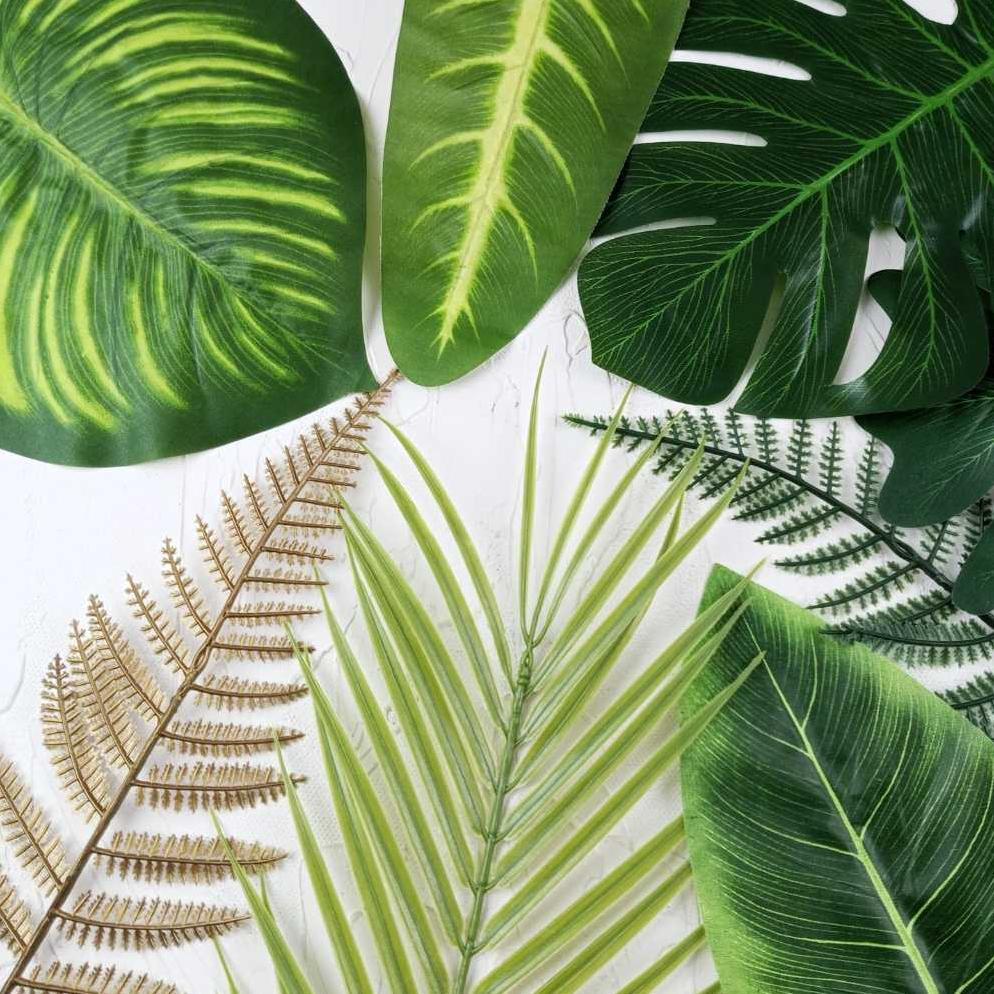 Promo Cod Daun Tropical 1 Lusin / 12Pcs - Monstera Philodenron Palem Pakis Pinus Gajah - Tanaman Hia