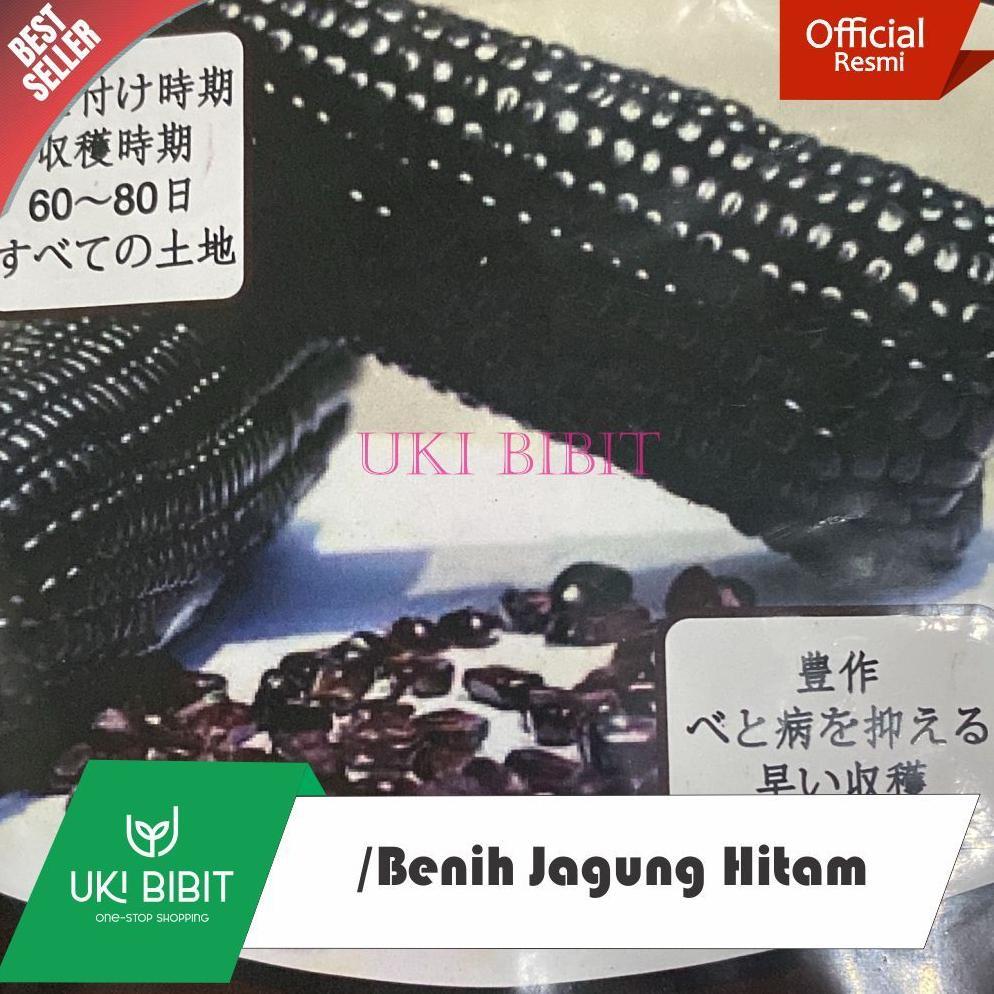 Promo Cod ( 15 Butir ) Benih Biji Jagung Ketan Hitam | Jagung Ungu | Jagung Putih | Jagung Pelangi 