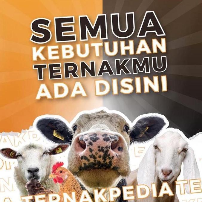 Ready stock Nova Mectin 100ml - Obat Hewan Ternak - Mectin by ANOVA