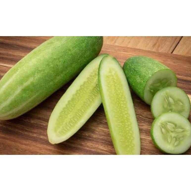 Promo Cod Biji Benih Timun Lalap Hibrida F1 Repack 15 Biji - Bibit Tanaman Sayur Sayuran Toska Jepan