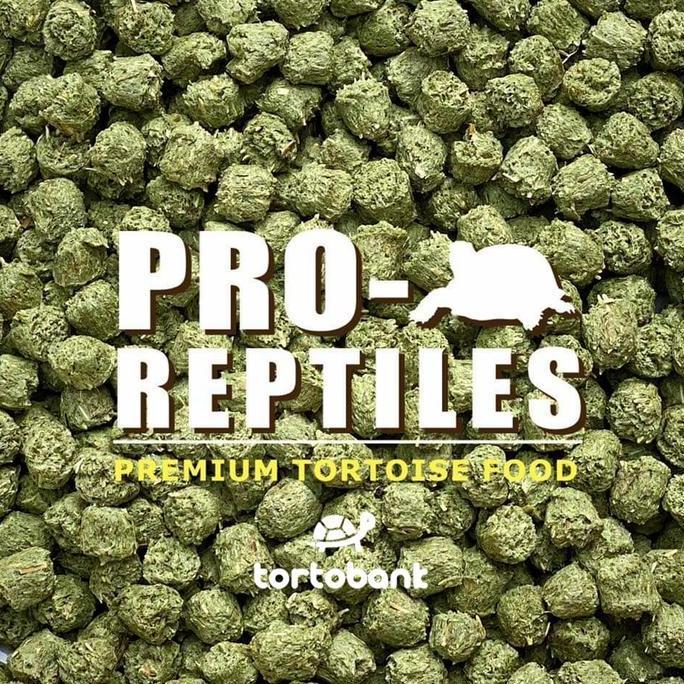 PRO REPTILES TORTOISE FOOD PREMIUM MADE IN THAILAND - PELET KURA DARAT - MAKANAN KURA DARAT PRO-REPT