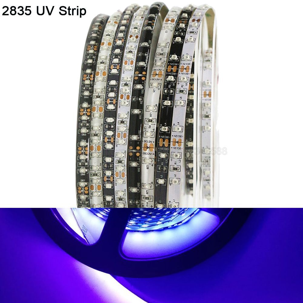 5m 12V 24V Ultraviolet UV LED Strip IP20 IP65 Tahan Air 365nm 395nm 60 / 120 led / m 2835 SMD LED St