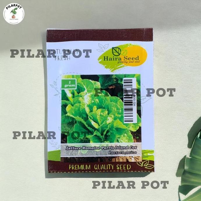 Benih Bibit Selada Green Romaine Parris Island Cos Haira Seed - SELADA