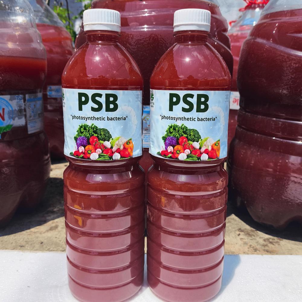Promo Cod Psb Bakteri Fotosintesis Super Booster 1 Liter ^^
