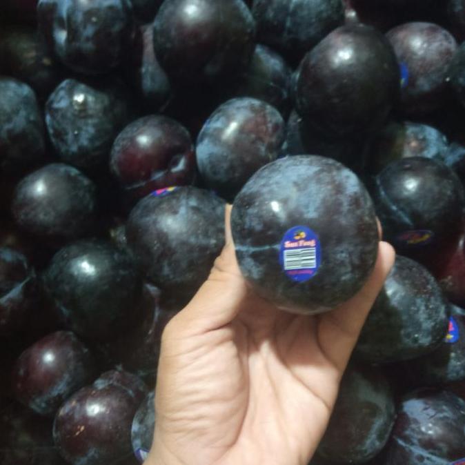Terlaris Buah Plum Hitam Fresh Import Per 1 Kg Buah Segar