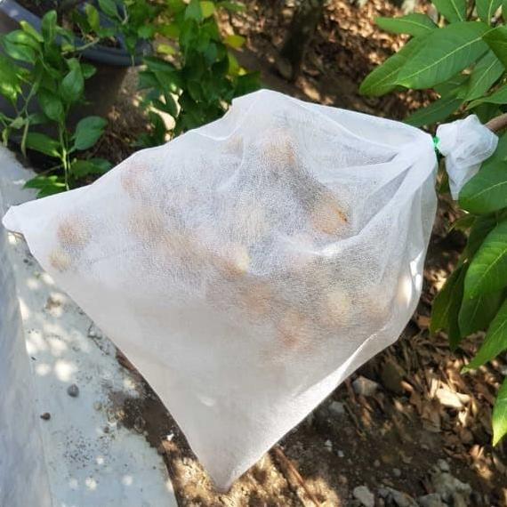 New- Fruit Cover, Brongsong Buah, Pembungkus Buah Anggur, Mangga, Apel, Str