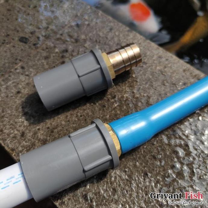 Konektor Selang Udara Kolam Koi ke Pipa 1/2" Pembagi Pompa Aerator