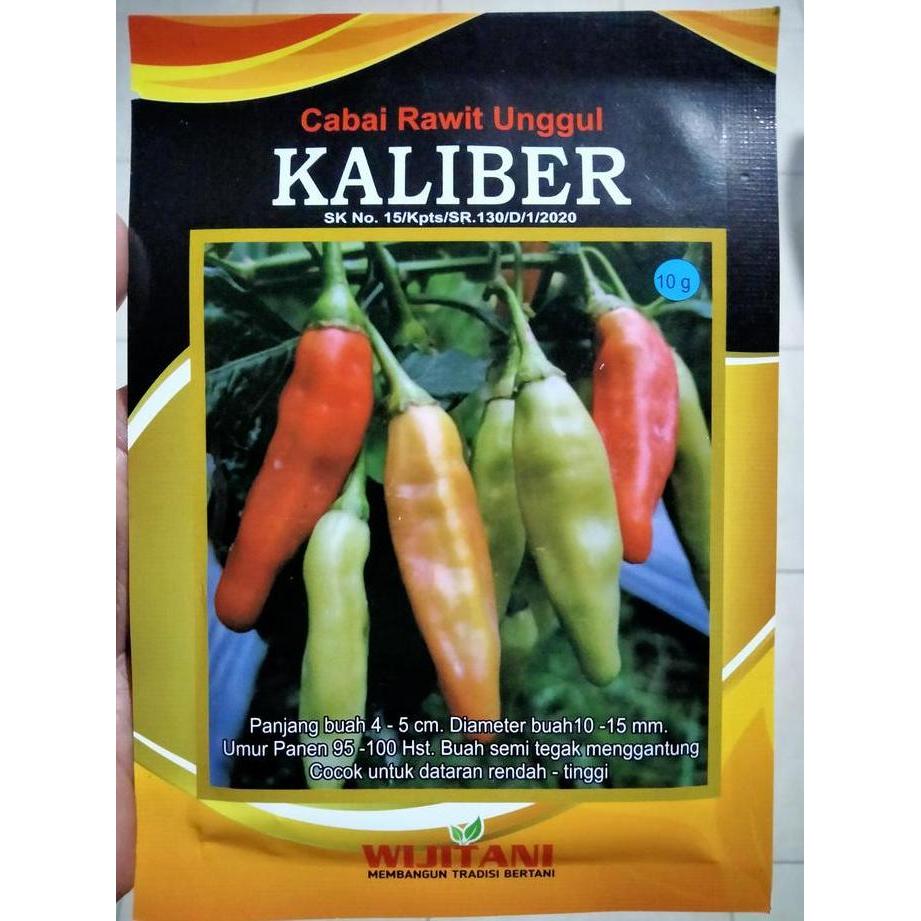 Benih Cabe Rawit KALIBER 10 Gram - Bibit Cabe KALIBER - CRM KALIBER Cabai