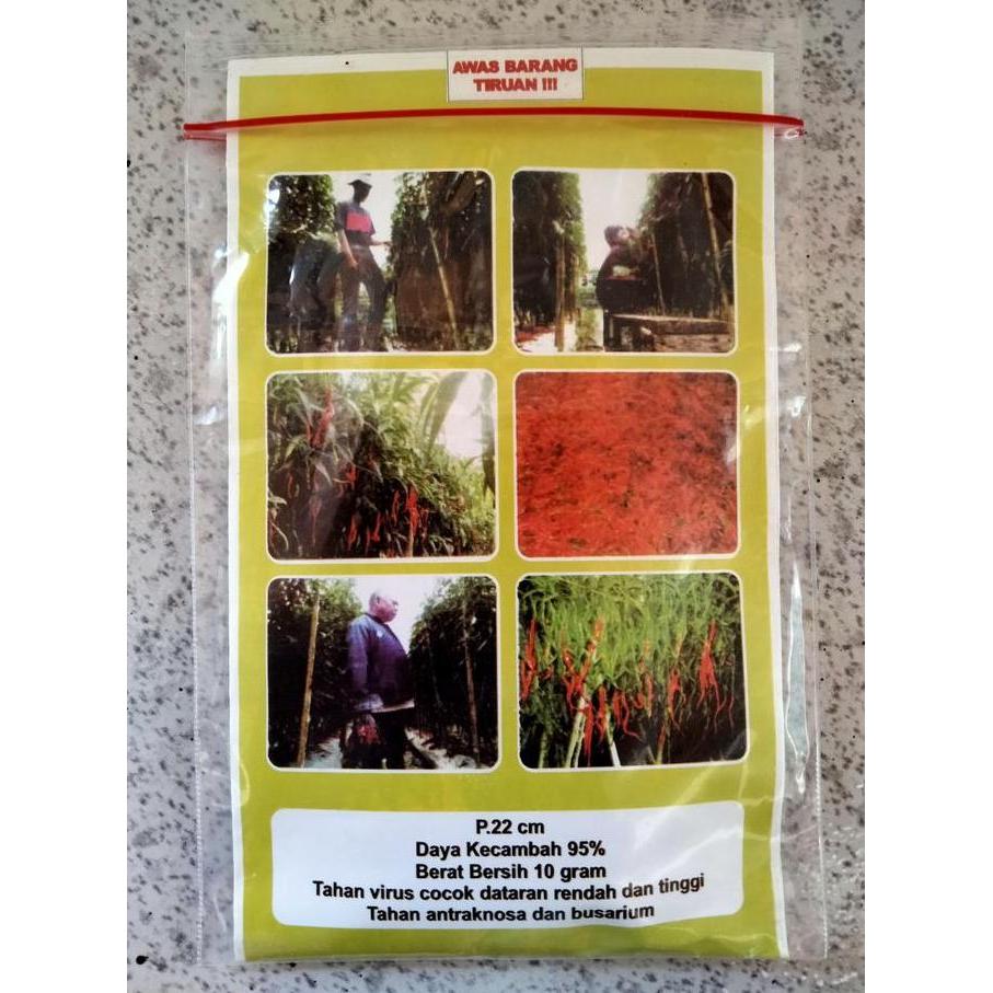 Benih Cabe Merah Keriting AWE ACEH 10 Gram - CMK AWE ACEH - Bibit Cabe AWE ACEH