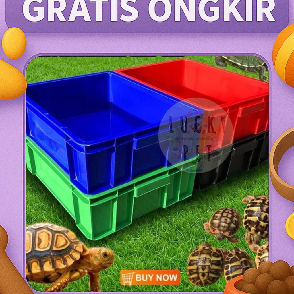 Box Kontainer Kura Kura Kotak Kandang Kura Kura Darat Air Box Ikan Sulcata Brazil Reptil Reptile Con