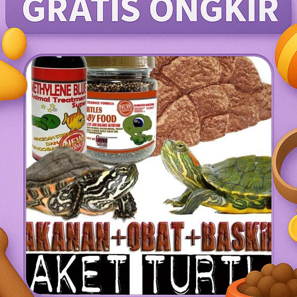 Paket Hemat Ph3 Perlengkapan Kura Kura Air Turtle Brazil Res Cst Damer