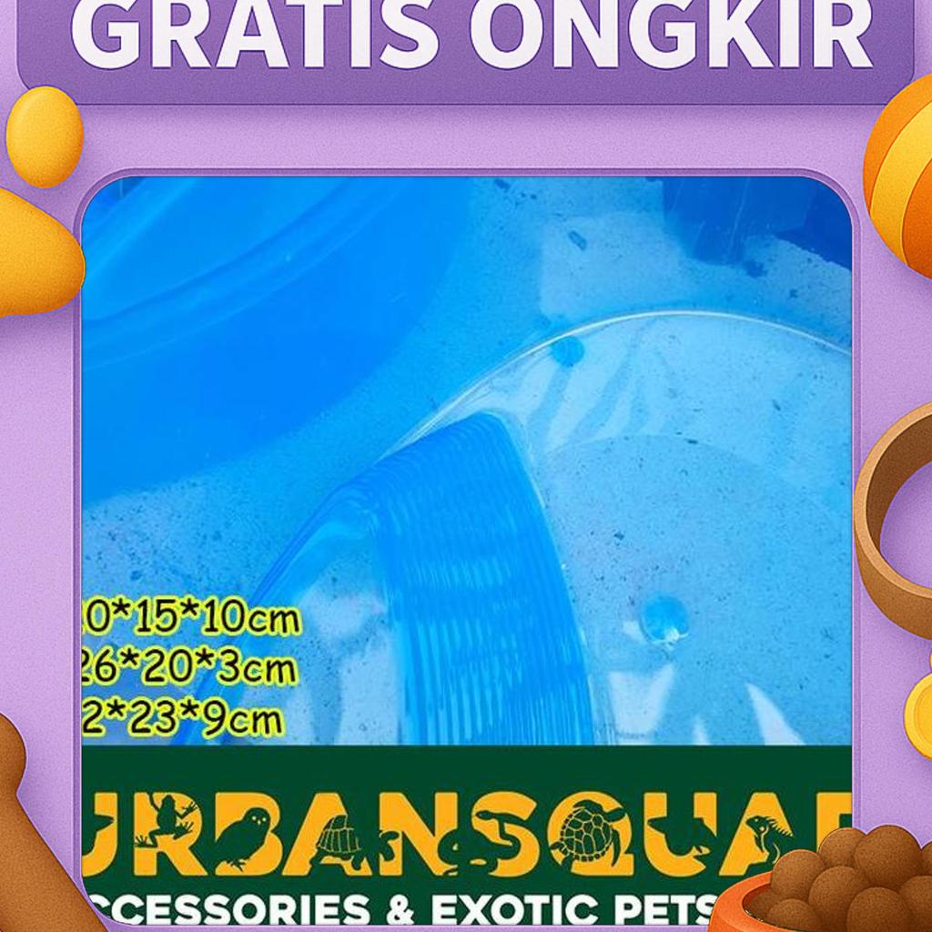 Kandang Kura Brazil Nx-12 Damer Res Ambon Siebnrocky