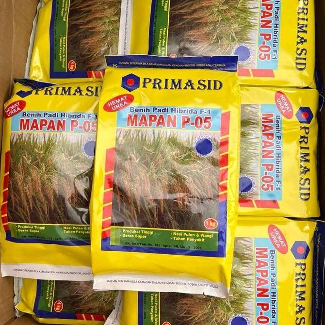 YANG ASLI DISINI Benih Padi Mapan P-05 1kg Exp 06 2026 TUMBUHAN