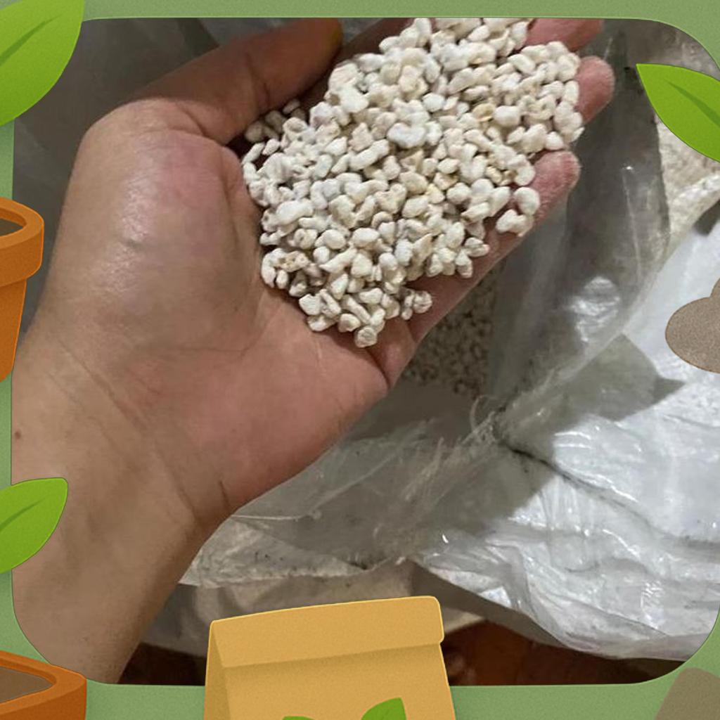 Perlite Karungan, Media Penetasan Telur, Ular, Gecko, Import, Inkubator,