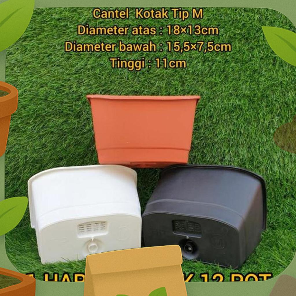 (12Pcs) Lusinan  Cantel Kotak Tip M Ptb M (18*13) : Pot Bunga Tempel Kotak Cantol Ram Kawat Mirip Ar