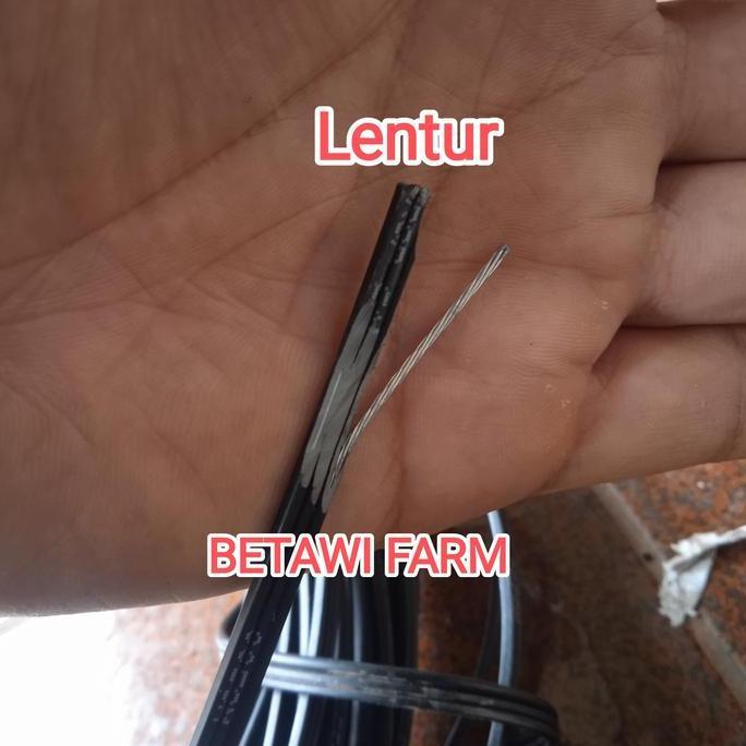 Best- rambatan anggur kabel isi kawat baja