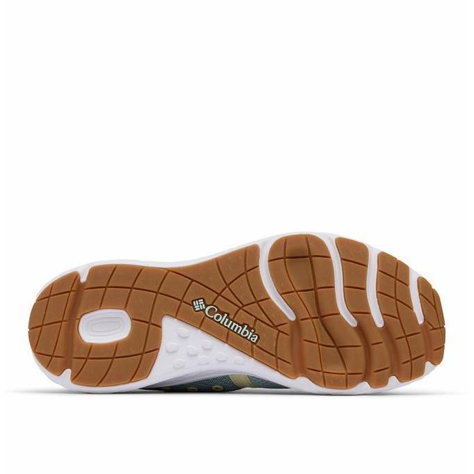 Columbia Women's Castback TC PFG Shoes