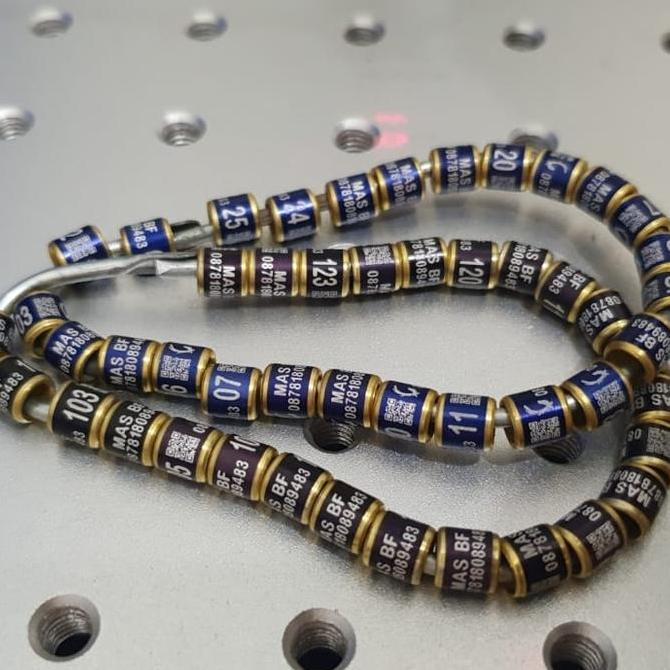 DISKON Ring Burung Murai MK +Bare READY STOCK