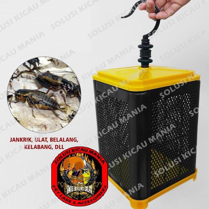 TERMURAH WADAH KANDANG JANGKRIK KOTAK TEMPAT TERNAK ULAT KELABANG BELALANG READY STOCK