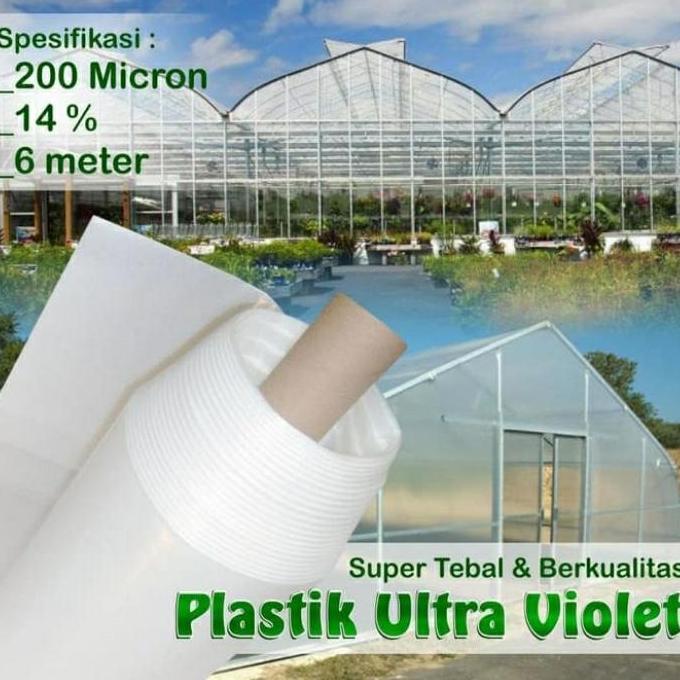 Plastik UV Lebar 6 Meter 14% 200 Micron 1 Roll