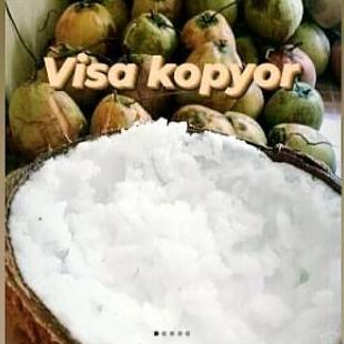 KELAPA KOPYOR SUPER, KELAPA PUAN, KOPYOR
