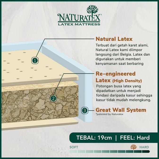 Newcap- Kasur Latex Naturatex Hotel Bed Bodypaedic Uk. 120X200